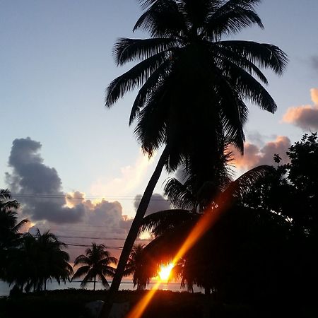 Villa Luana Yuna - Self Catering Pointe Au Sel ภายนอก รูปภาพ